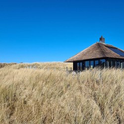 ZIJKANT DUINEN HESTIA.jpg