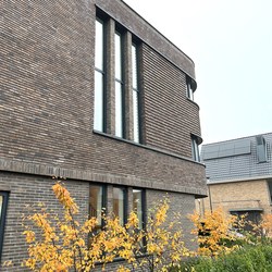 IMG_7080 bew.jpg